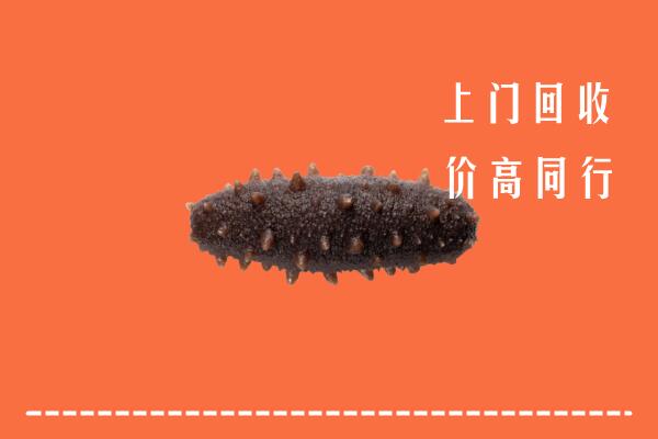 高价求购：武侯区回收海参