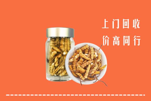 收购行情：武侯区回收冬虫夏草